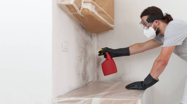 Professional Attic Mold Remediation technician working in East Meadow, NY