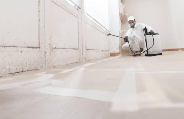 24/7 Emergency Attic Mold Remediation experts in East Meadow, NY